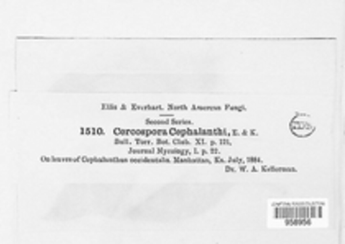Passalora cephalanthi image